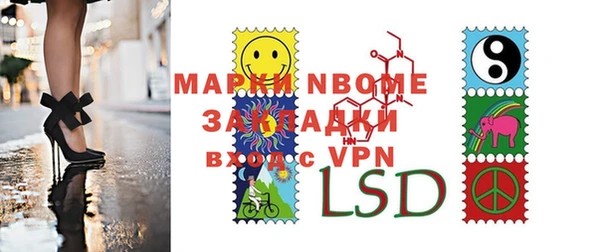 шишки Слюдянка