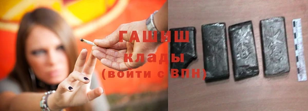 шишки Слюдянка